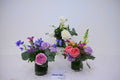 Petite Trio Arrangement