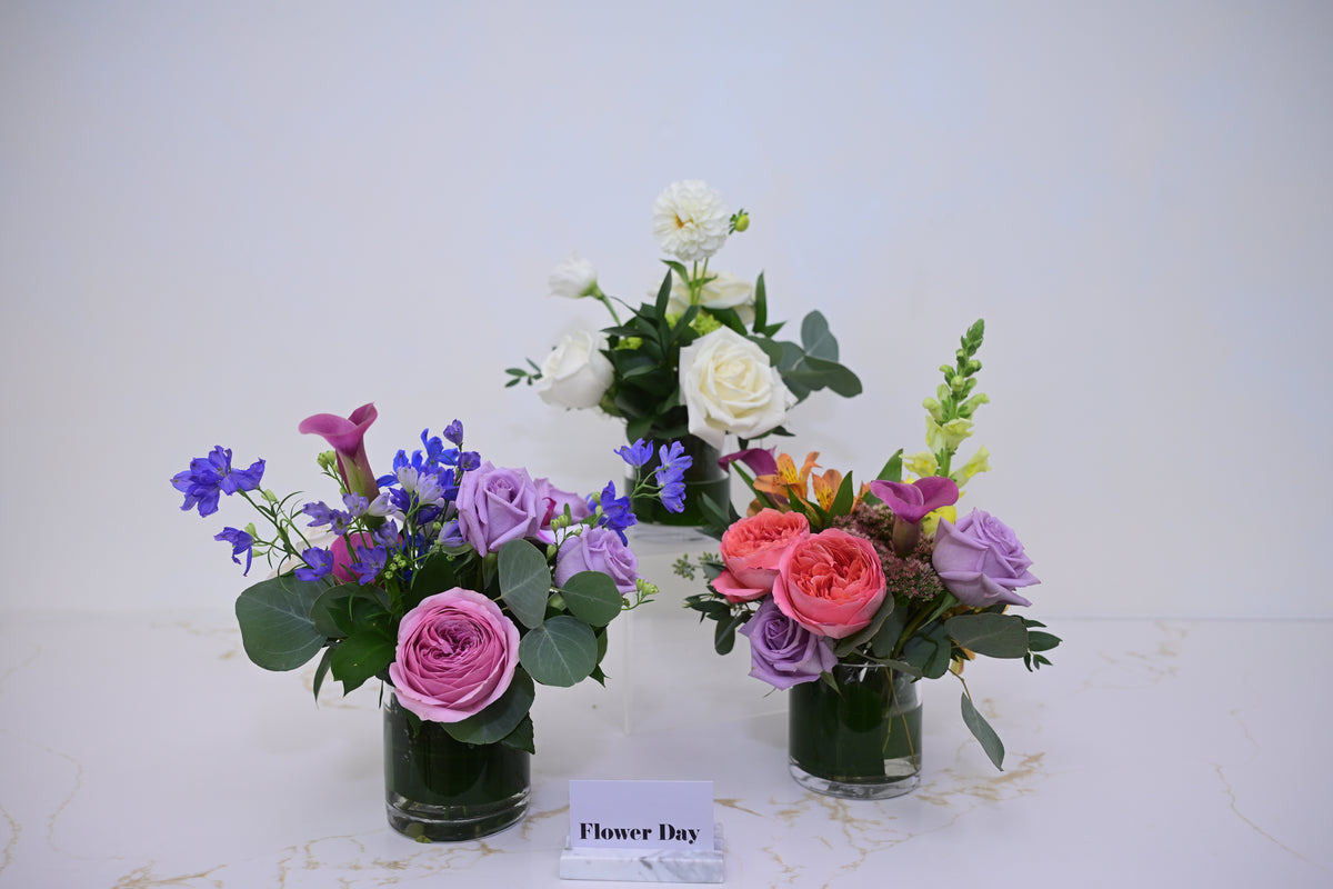 Petite Trio Arrangement
