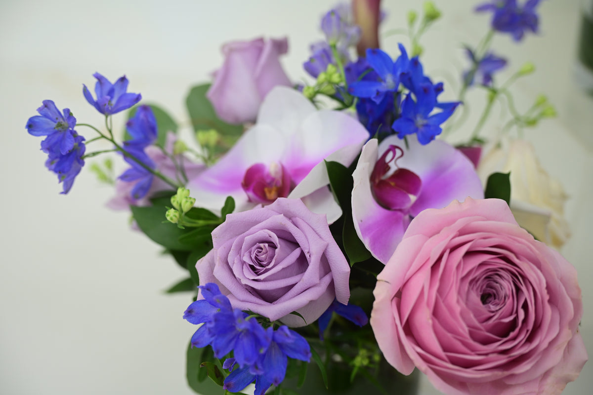 Petite Trio Arrangement