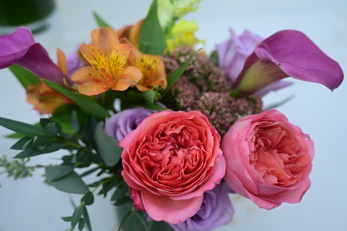Petite Trio Arrangement