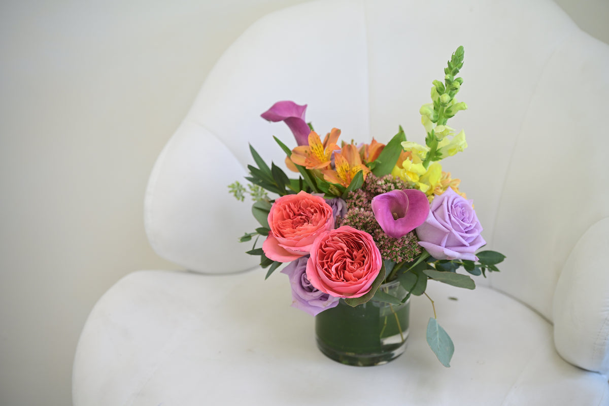 Petite Trio Arrangement