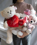 Plush Teddy Bear