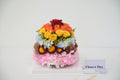 Rainbow Bloom Dome