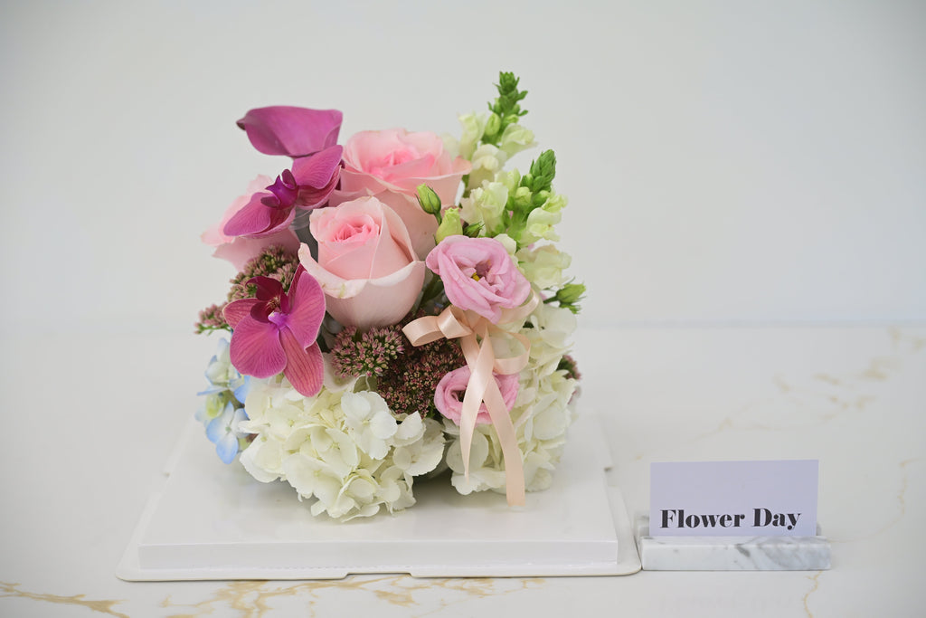 Blush Bloom Dome