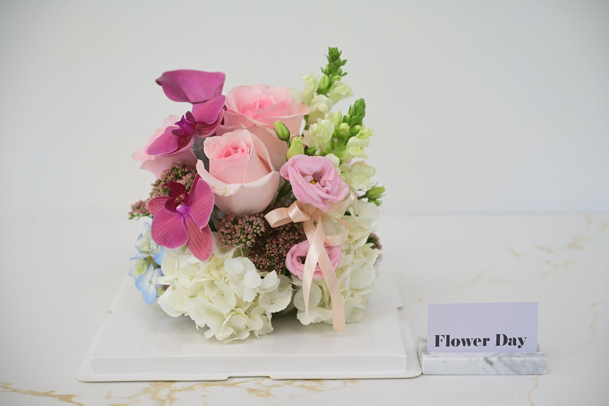 Blush Bloom Dome